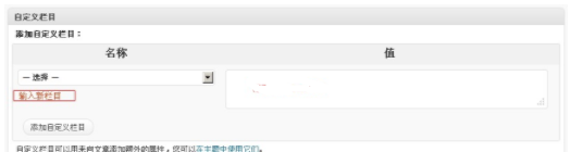 WordPress 自定义字段 自定义域的使用方法 - 1号优惠分享网 · 51福利网
